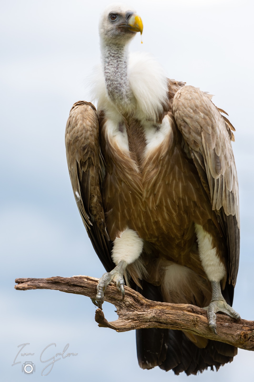 25 juni 2022 151712 1R2A0784